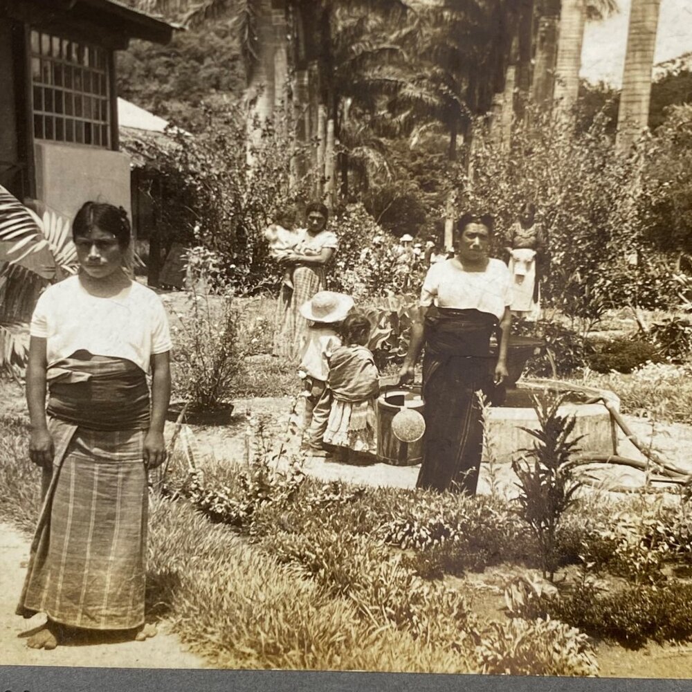 Antique 1905 Stereoview Photo Card Women Children Coffee FINA Guatemala C. A. - Picture 7 of 7
